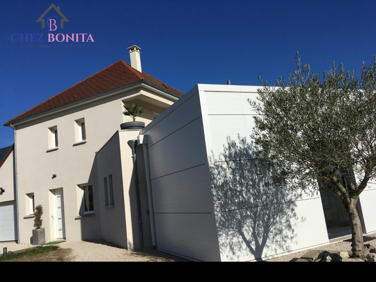 מלון Chouzy-sur-Cisse Chez Bonita מראה חיצוני תמונה